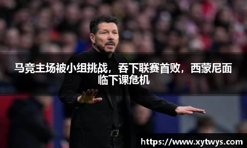 纳米体育官网