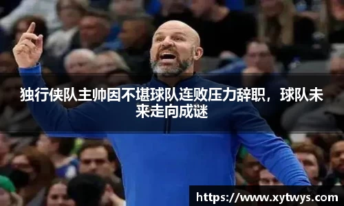 纳米体育官网
