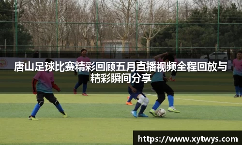 纳米体育网址
