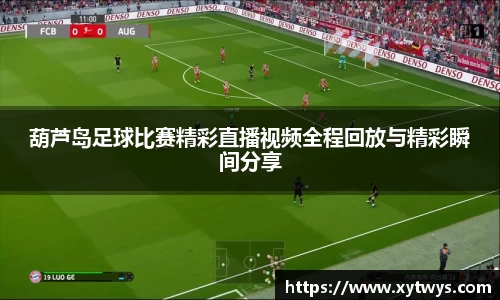 葫芦岛足球比赛精彩直播视频全程回放与精彩瞬间分享