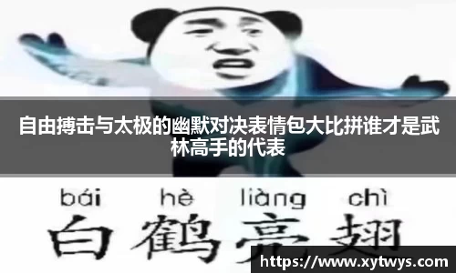 自由搏击与太极的幽默对决表情包大比拼谁才是武林高手的代表